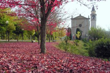 Sfoglia la galleria